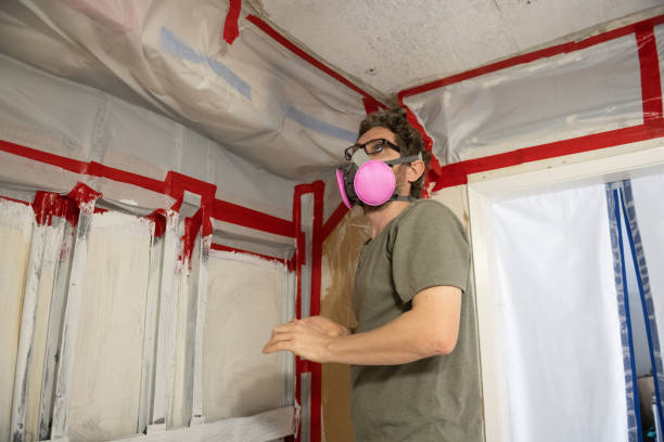 Mold Documentation for Insurance Claims in Alpine, TX