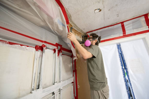 Trusted Alpine, TX Mold Removal Experts